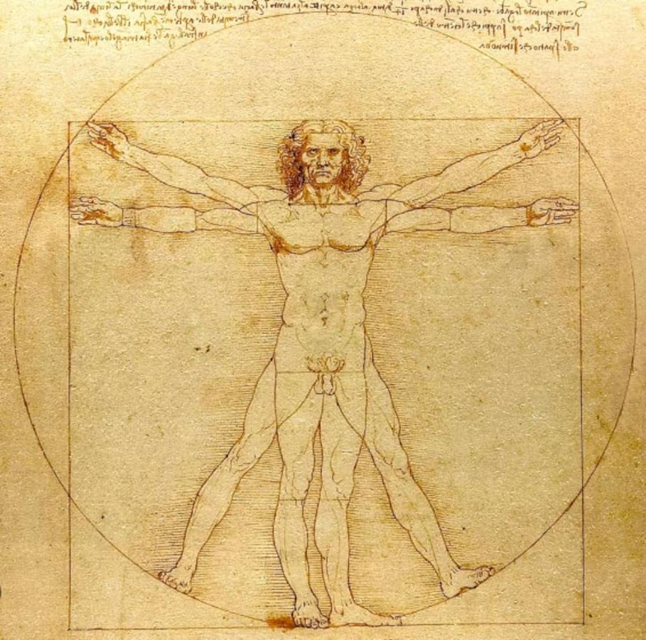 Da Vinci - Charmant Et Relax Amboise Buitenkant foto
