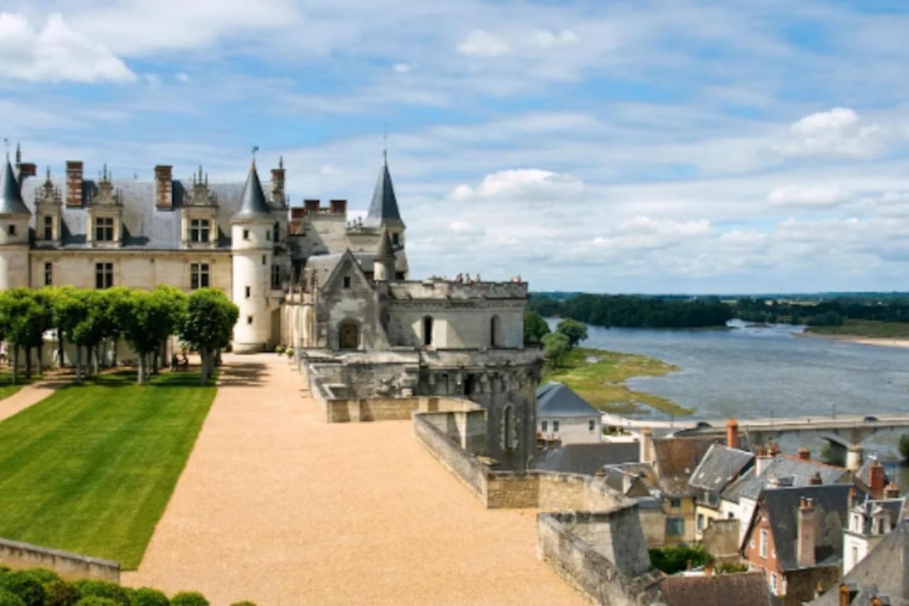 Da Vinci - Charmant Et Relax Amboise Buitenkant foto